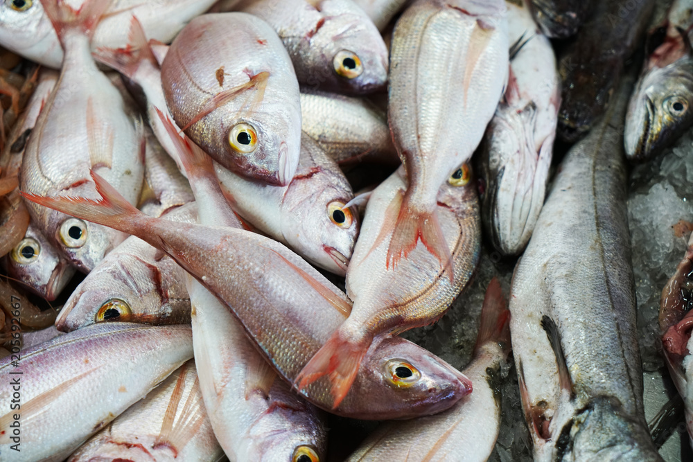 Fresh fish photographed on a fish market in Portugal
Fresh fish photographed on a fish market in Portugal