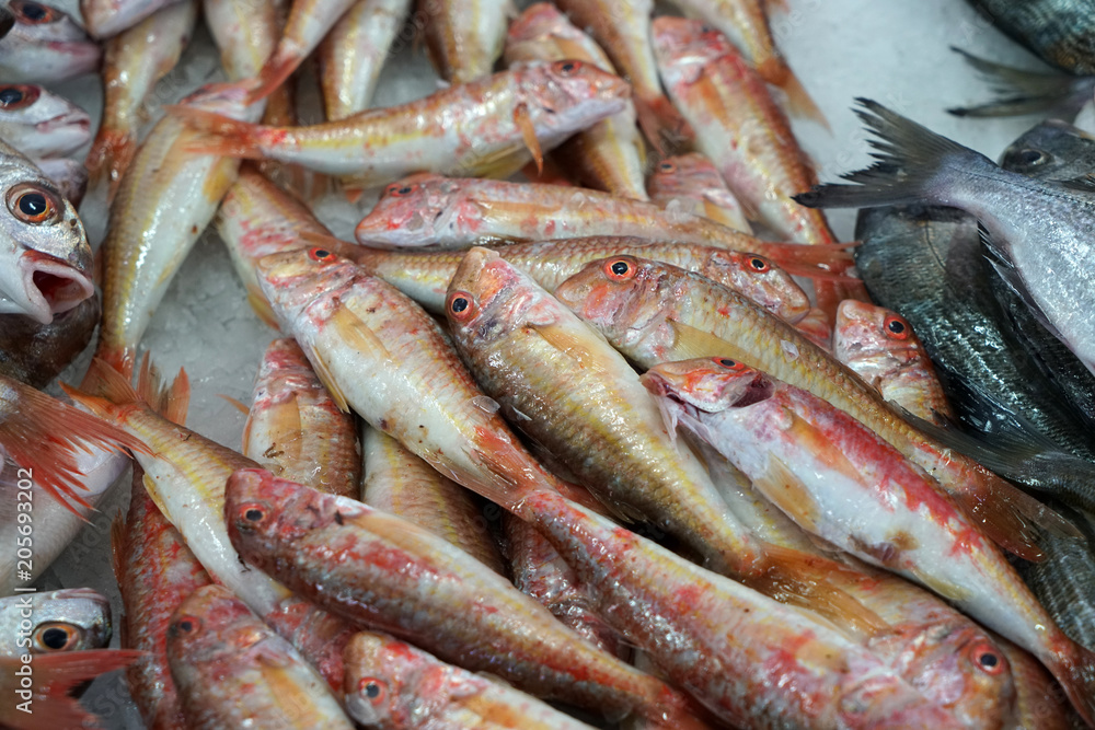 Fresh fish photographed on a fish market in Portugal
Fresh fish photographed on a fish market in Portugal