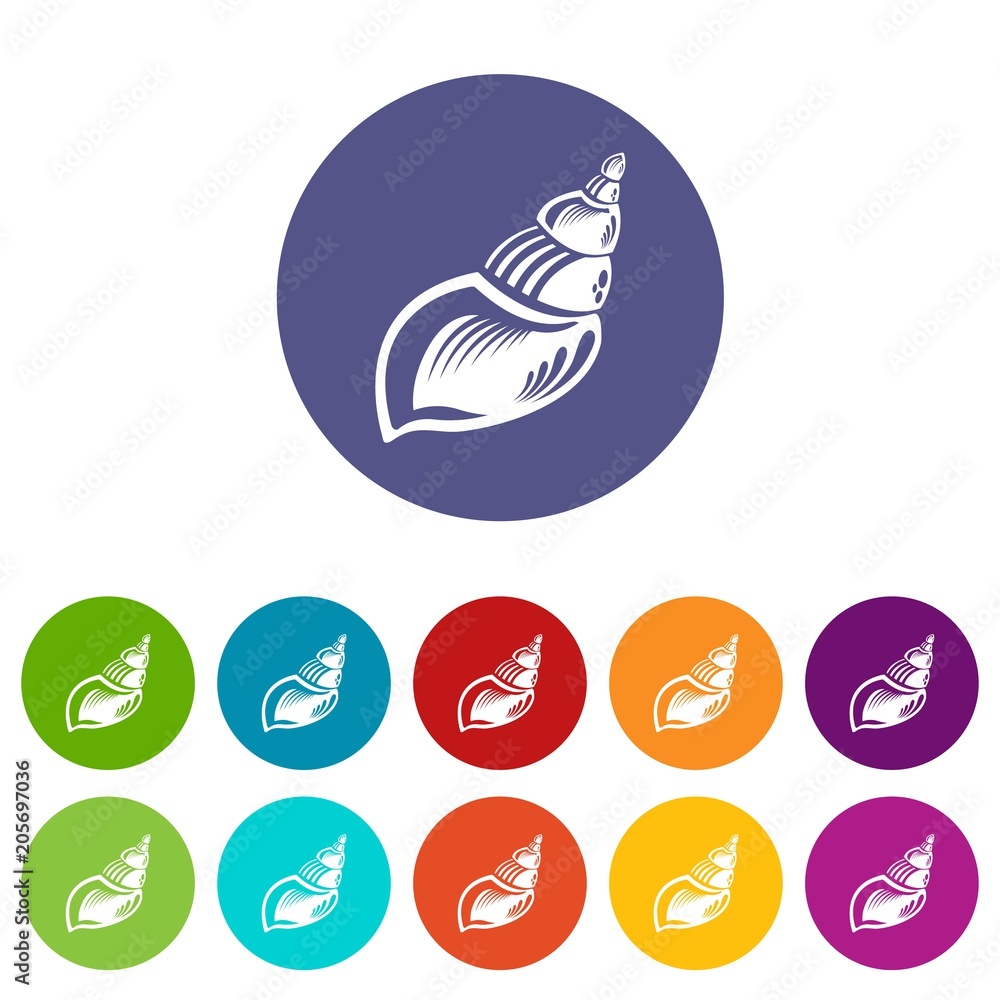 Obraz premium Wild shell icon. Simple illustration of wild shell vector icon for web