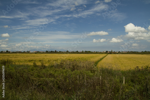 Natural landscape, fields and village - Stock Image