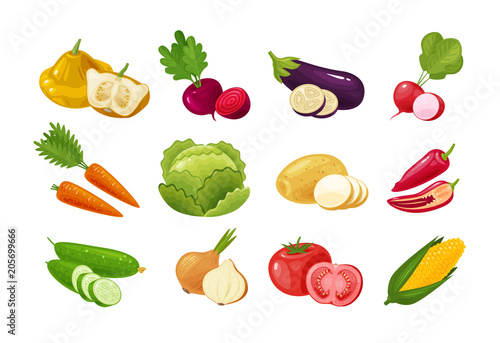 Vegetables, set of colored icons. Green vegetable, garden stuff concept. Vector illustration
