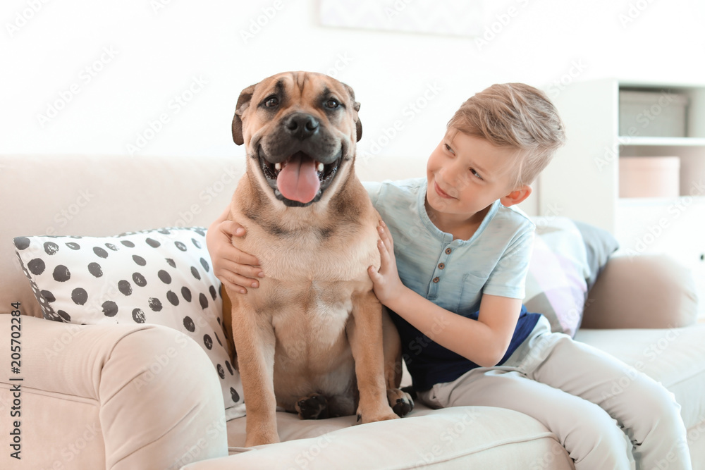 Cute little child with his dog on couch at home Cute little child with his dog on couch at home
