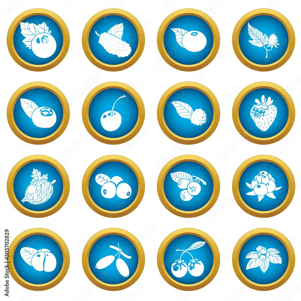 Berries icons set. Simple illustration of 16 berries vector icons for web Berries icons set. Simple illustration of 16 berries vector icons for web