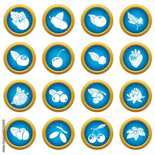Berries icons set. Simple illustration of 16 berries vector icons for web