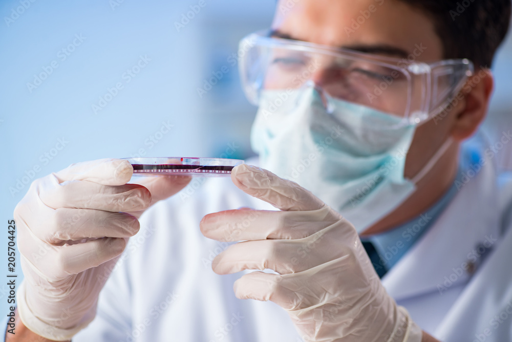 Lab assistant testing blood samples in hospital Lab assistant testing blood samples in hospital
