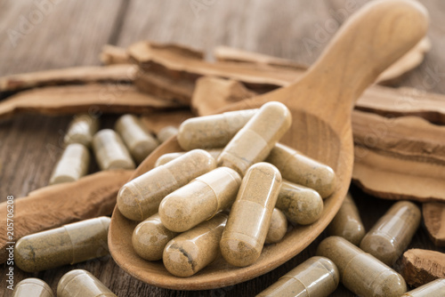 Fotografija Lingzhi mushroom, Herb capsule