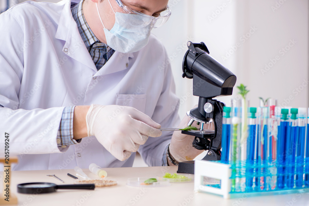 Male biochemist working in the lab on plants Male biochemist working in the lab on plants