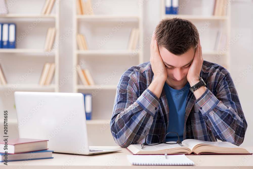 Young student studying over internet in telelearning concept Young student studying over internet in telelearning concept