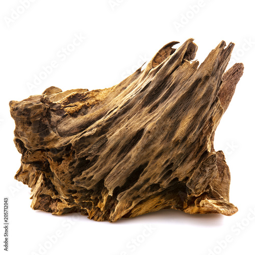 Piece of well worn driftwood on a white background photo