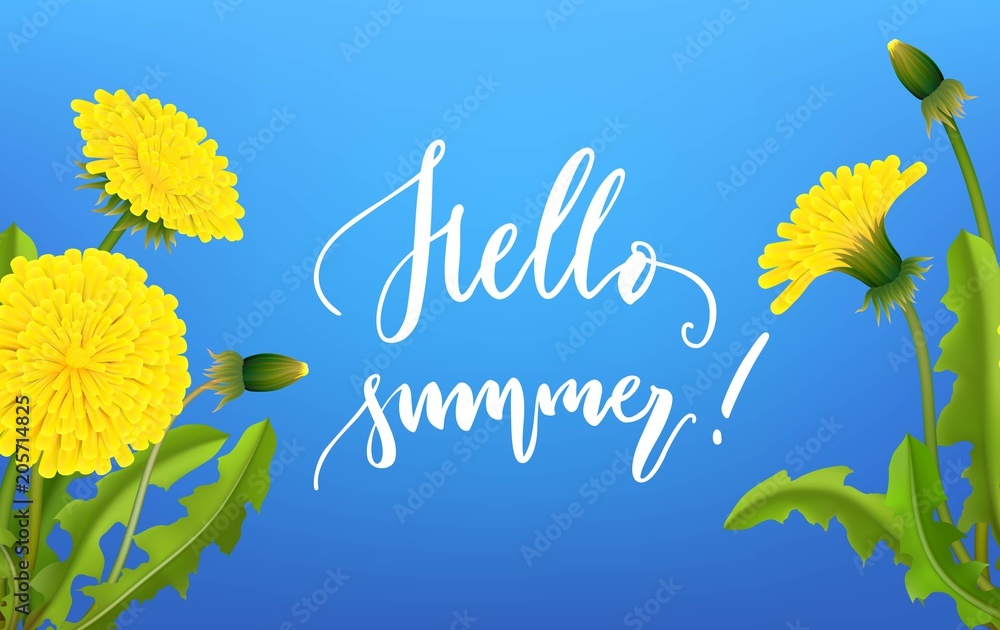 Fototapeta premium Greeting card hello summer dandelion background lettering. Invitation banner for party in blue colors with flowers. Vector illustration