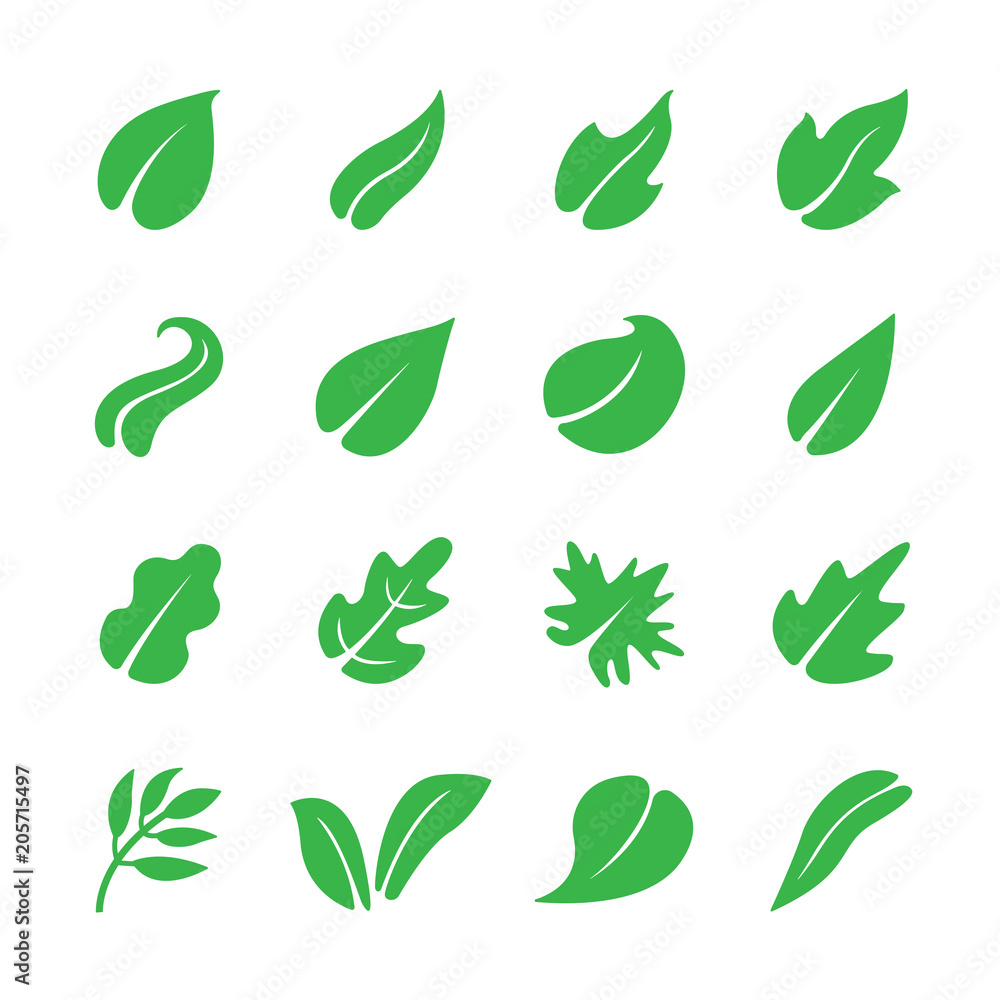 Leaf icon set Leaf icon set