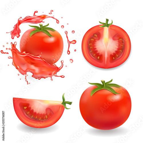 Tomatoes isolated realistic illustration. Whole, sliced tomato in juice splash