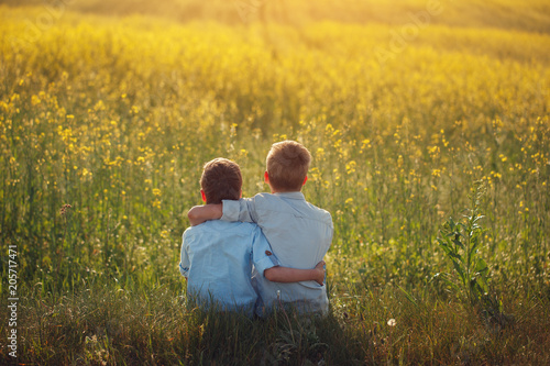 Two little boys friends holding around the shoulders in sunny summer day. Brother love. Concept friendship. Rear view.