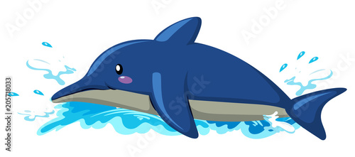 Floating Dolphin on White Background