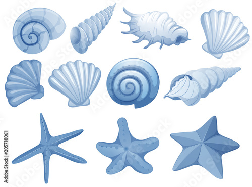 A Set of Blue Seashell