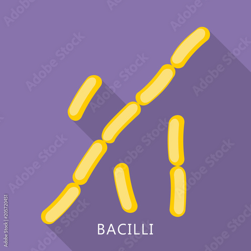 Bacilli icon. Flat illustration of bacilli vector icon for web design