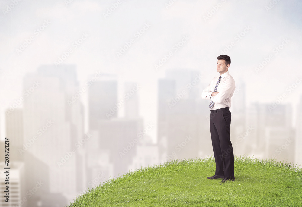 A cheerful caucasian elegant sales manager standing in small green grass in front of faded city landscape, tall buildings concept. A cheerful caucasian elegant sales manager standing in small green grass in front of faded city landscape, tall buildings concept.