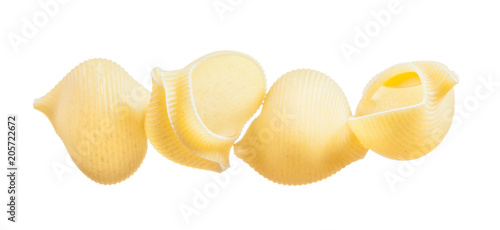 Uncooked short-cut pasta shells isolated on white