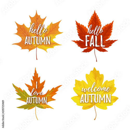 Vector illustration, Autumn greeting card