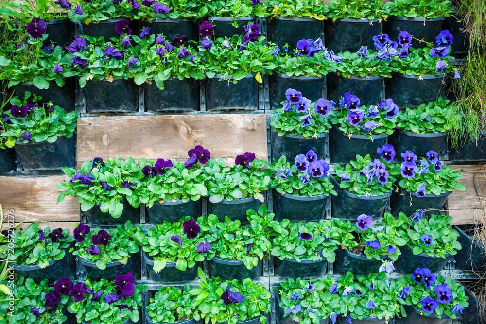 Wall with flower pots.