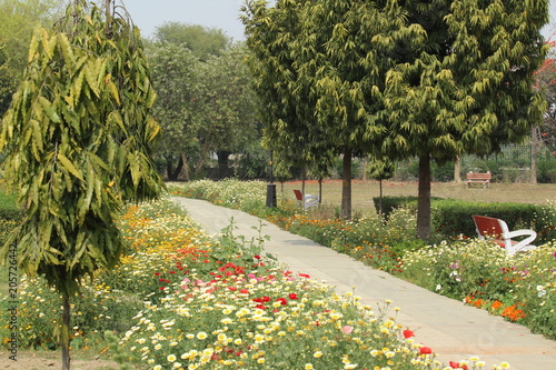 Colorful spring flowers in Japanese Park, Rohini, Delhi, India