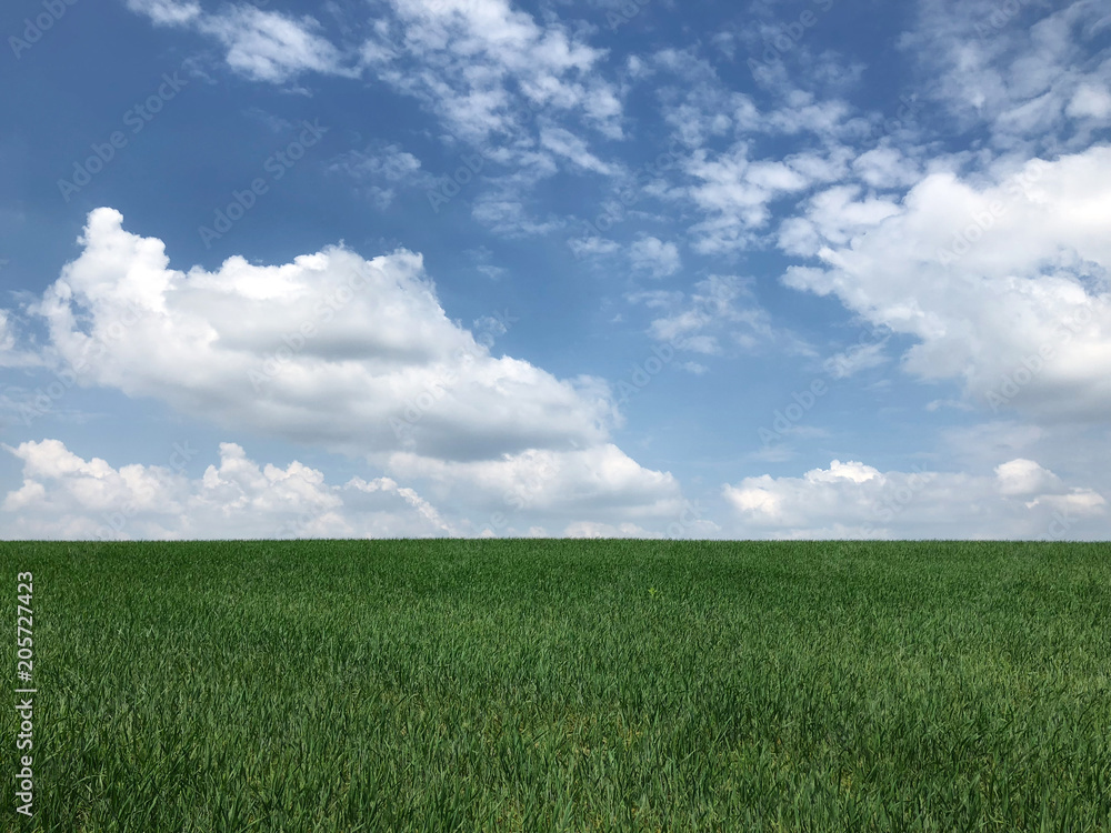 Grüne Natur Wiese und Blauer Himmel mit Wolken Grüne Natur Wiese und Blauer Himmel mit Wolken