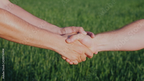 Friendly handshake of two male hands. Against the background of a green wheat field © StockMediaProduction