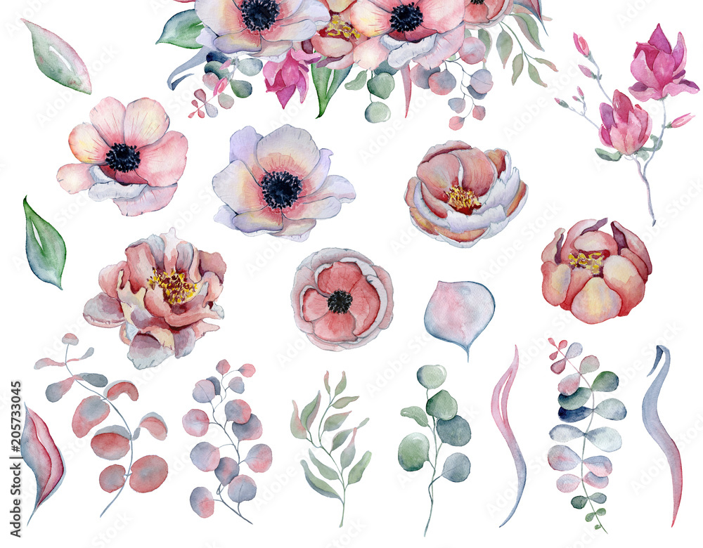 Watercolor anemone peonies flowers and leaves  