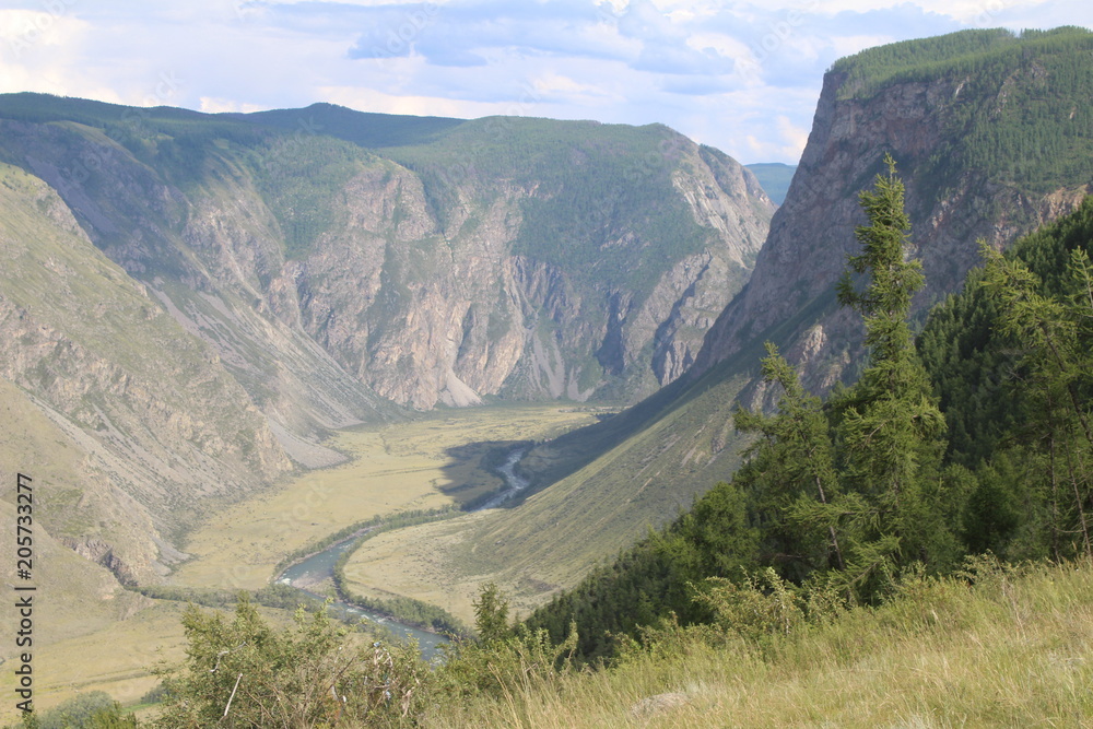 Chulyshman river valley. Altai