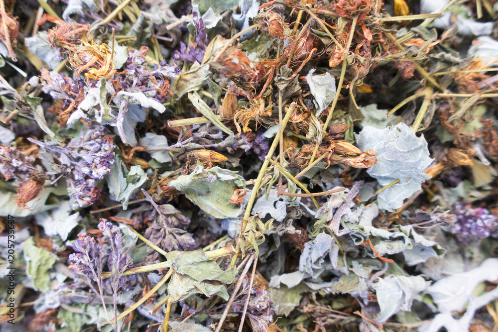 Collect dry herbs such as St. John's wort, matryoshka, currant leaves, mint, lemon balm Collect dry herbs such as St. John's wort, matryoshka, currant leaves, mint, lemon balm