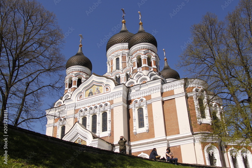 Fototapeta premium Cathédrale Alexandre Nevski à Tallinn, Estonie