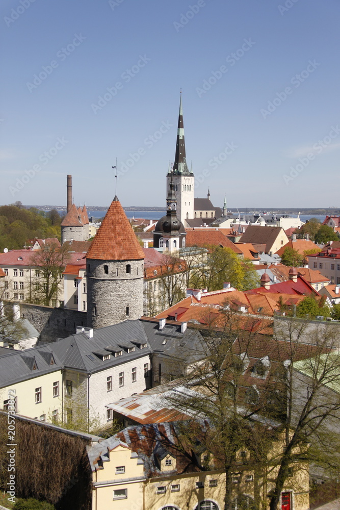 Panorama de la ville basse à Tallinn, Estonie