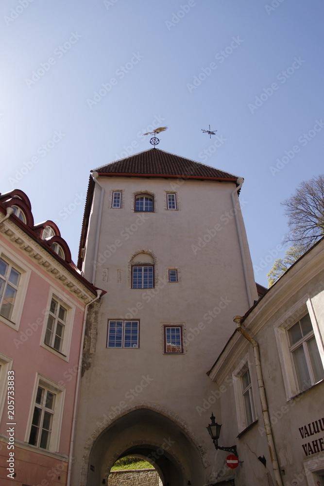 Rue de la ville basse à Tallinn, Estonie