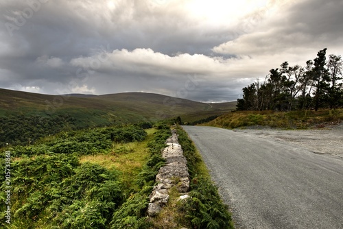 Ireland, Co. Wicklow, 