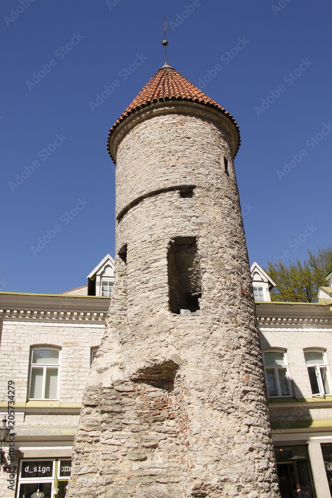 Tour médiéval de la ville basse à Tallinn, Estonie	