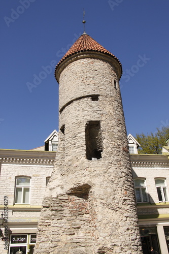 Tour médiéval de la ville basse à Tallinn, Estonie 