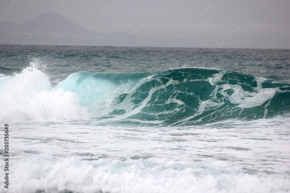 Fototapeta premium a wave in Fuerteventura