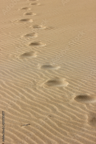 footprints in the sand  Fuerteventura