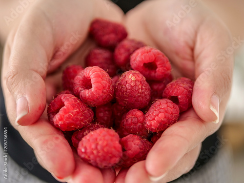 Fresh respberries, hands serving red respberries