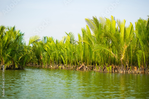 Fotografija Tourists visit water coconut forest in Hoi An