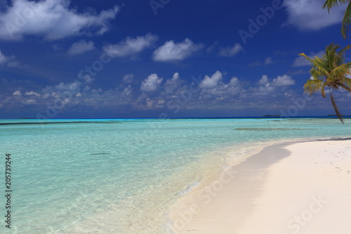 Gorgeous view of white sand beach line , Maldives, Indian Ocean. Transparent turquoise water on skyline background. Amazing nature background. © Alex