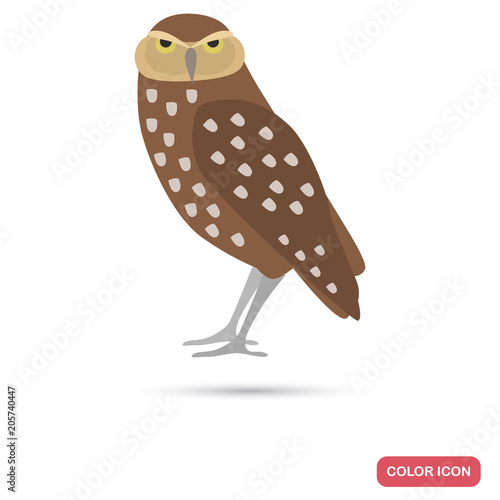 Rabbit owl color flat icon