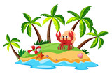 A Beautiful Island and Crab