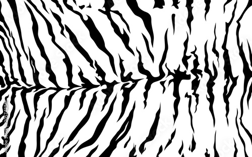 stripe animal jungle tiger fur texture pattern white black