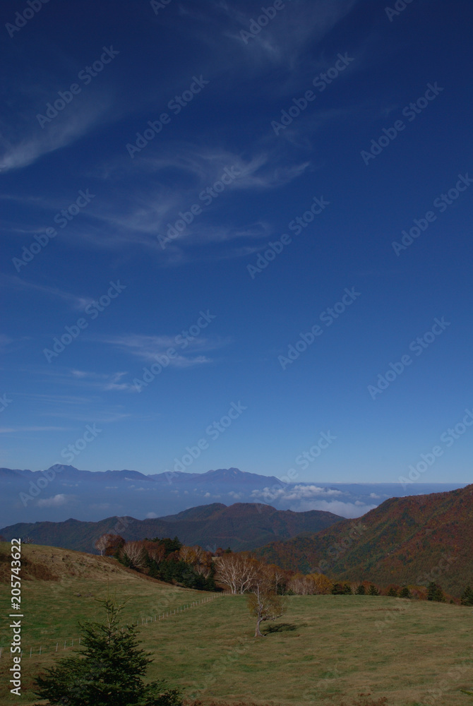 autumn cirrus clouds over the pasture / 放牧地越しの秋の空 - 巻雲(すじ雲)
