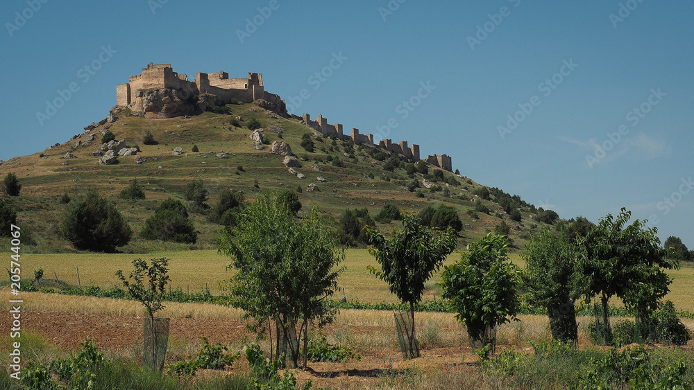 Fototapeta premium Gormaz Castle