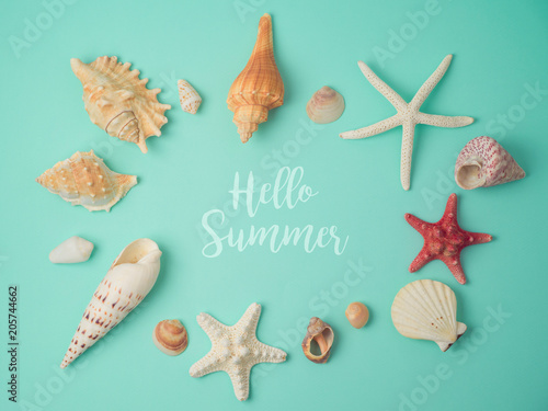 Summer concept with seashells and starfish