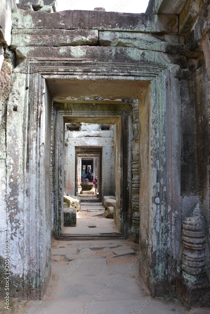 カンボジアのアンコール遺跡群～プリヤ・カーン