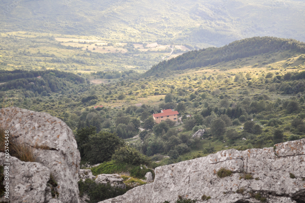 Fototapeta premium mountains high in the clouds, covered with trees