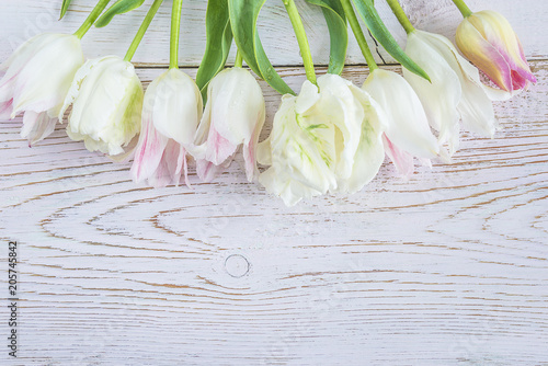 Beautiful bouquet of white and pink tulips with water drops on white wooden background with copy space